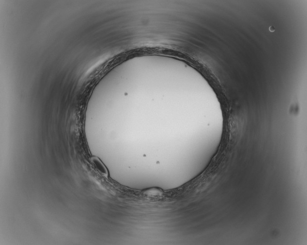 X0000114401064200911061533