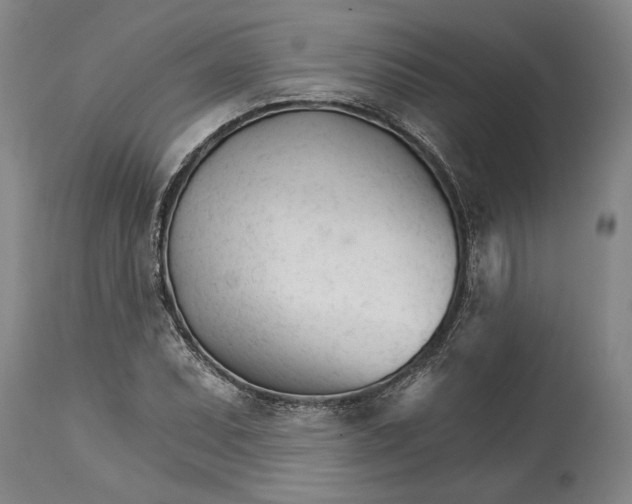 X0000114401071200911061532