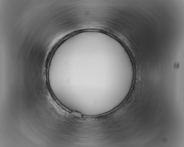 X0000114401072200911061532