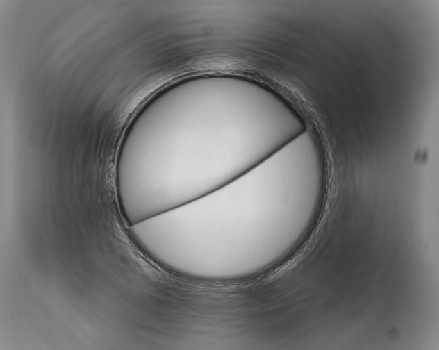 X0000114401073200911061532