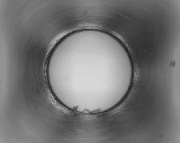 X0000114401074200911061532