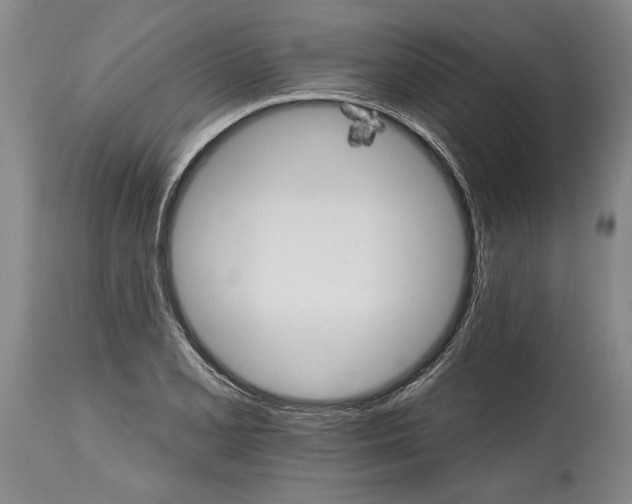 X0000114401077200911061532