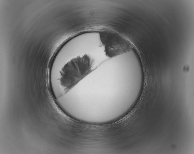 X0000114401079200911061532