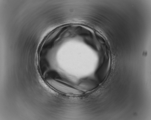 X0000114401080200911061532