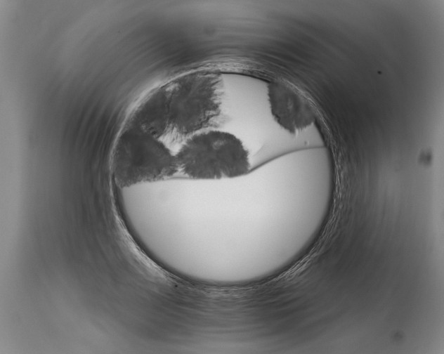 X0000114401083200911061532