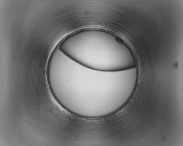 X0000114401084200911061532