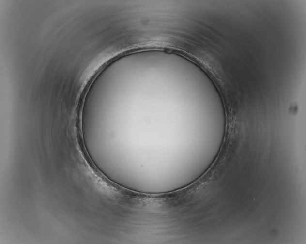 X0000114401086200911061532