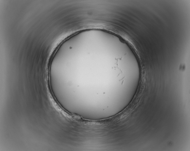 X0000114401088200911061532