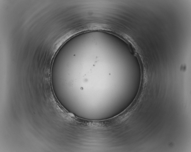 X0000114401089200911061532