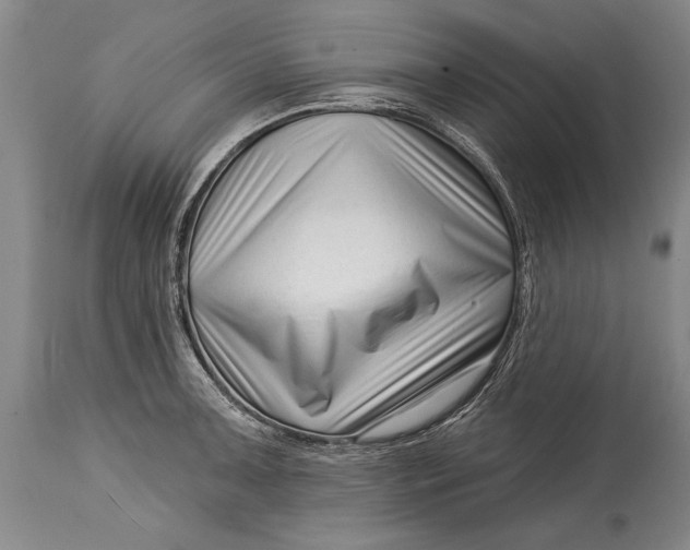 X0000114401091200911061532