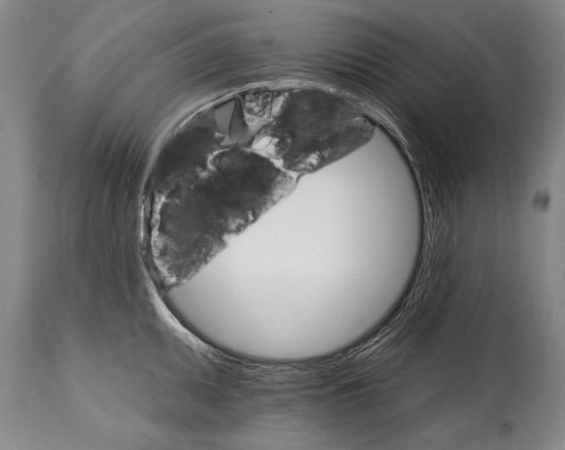 X0000114401095200911061532