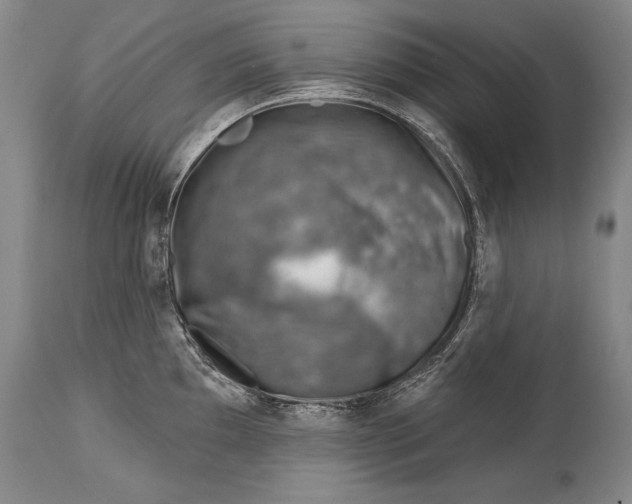 X0000114401097200911061532