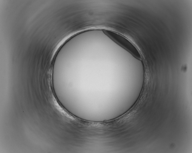 X0000114401100200911061532