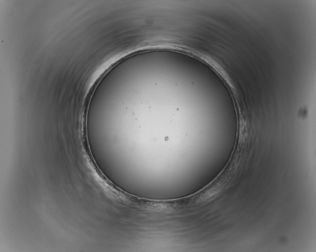 X0000114401101200911061532