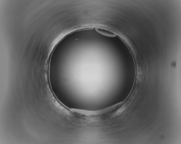 X0000114401102200911061532