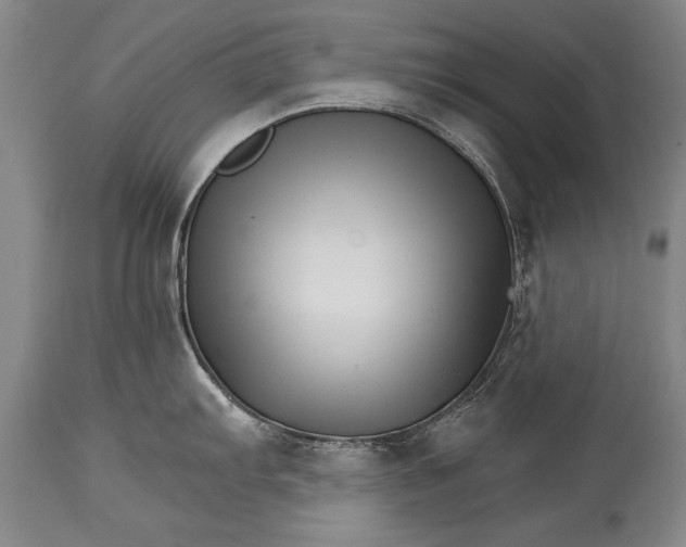 X0000114401103200911061532