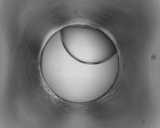 X0000114401104200911061532