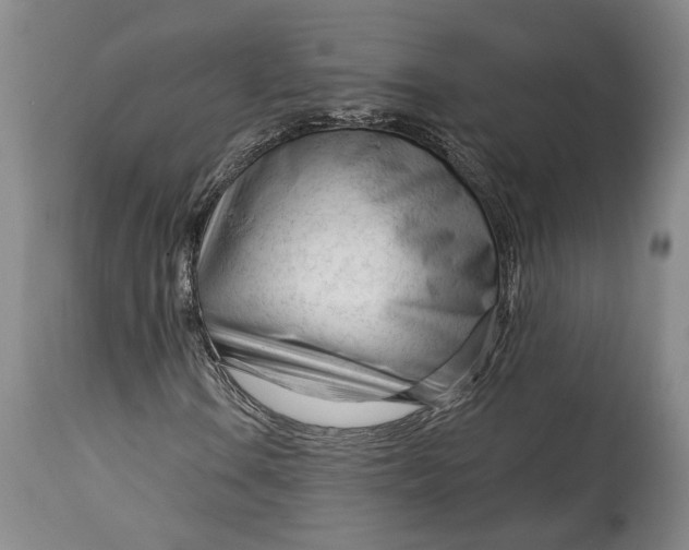 X0000114401106200911061531