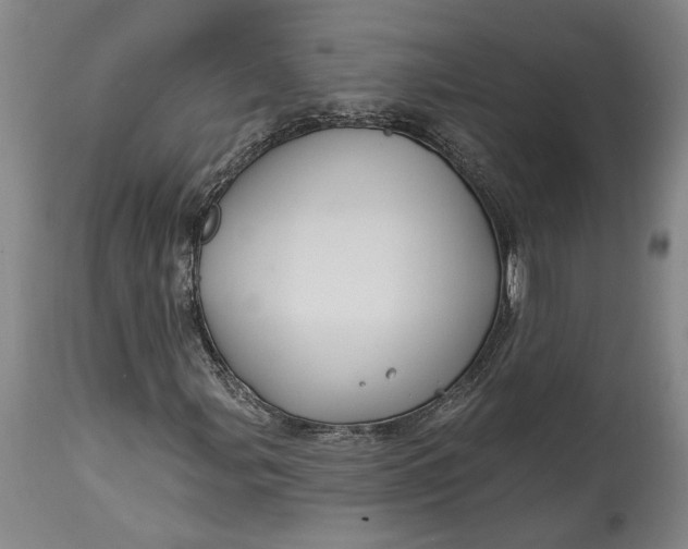 X0000114401107200911061531