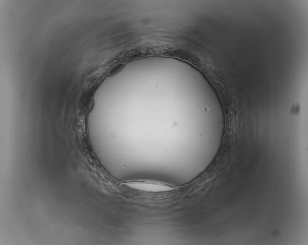 X0000114401109200911061531