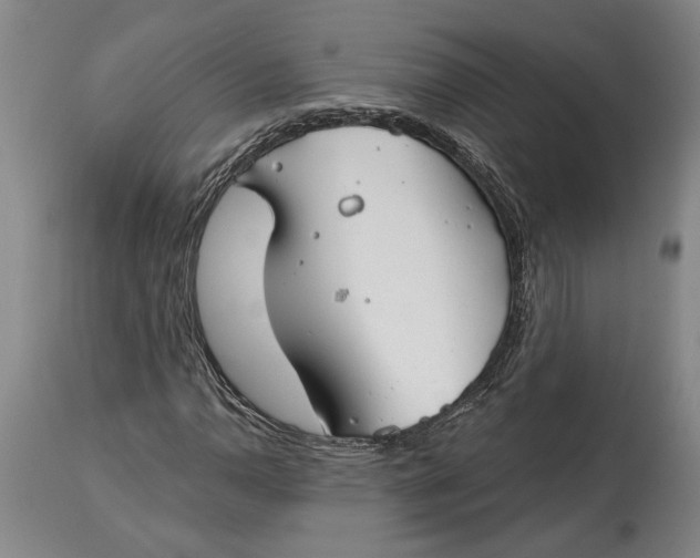 X0000114401110200911061531