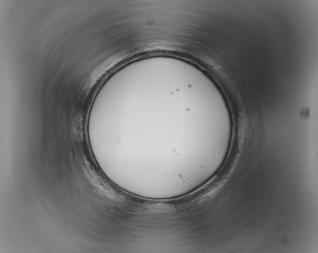 X0000114401113200911061531