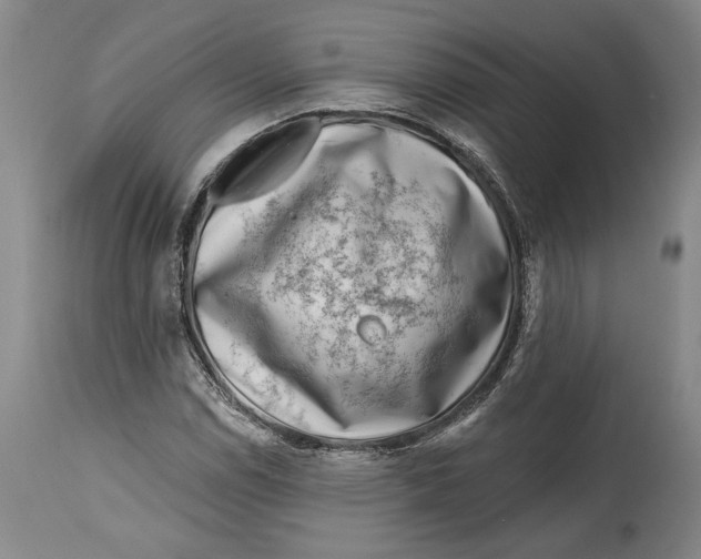 X0000114401114200911061531