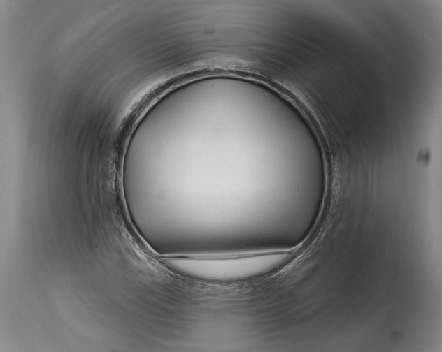 X0000114401115200911061531