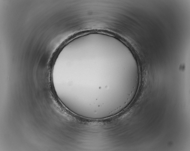 X0000114401118200911061531