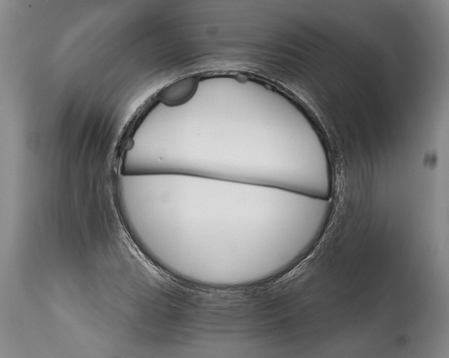 X0000114401119200911061531