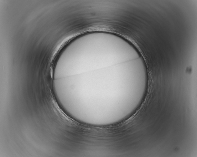 X0000114401123200911061531