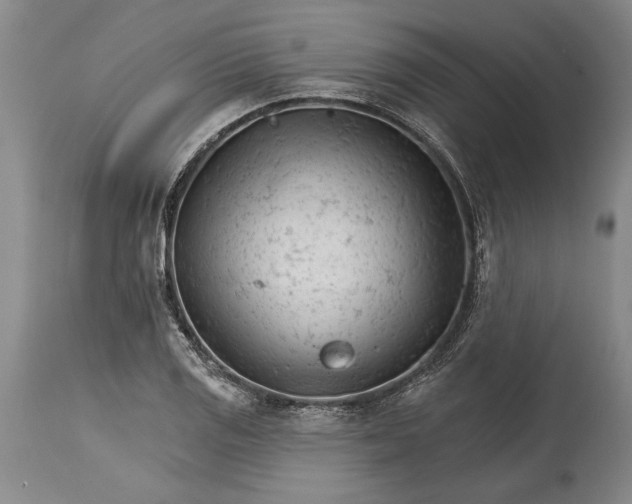 X0000114401125200911061531