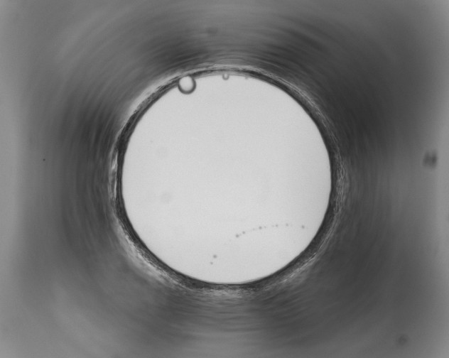 X0000114401126200911061531