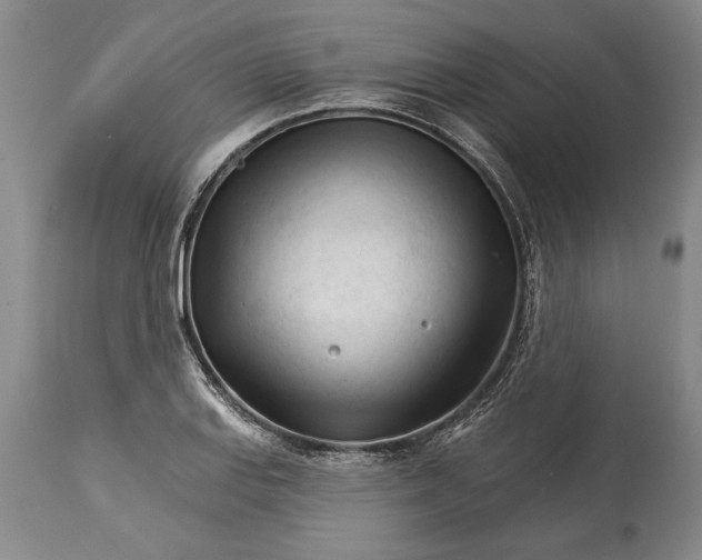 X0000114401127200911061531