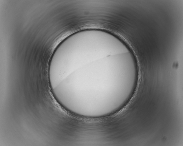 X0000114401129200911061532