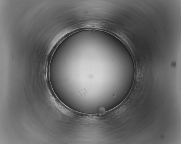 X0000114401131200911061532