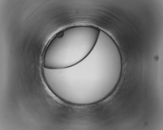 X0000114401134200911061532