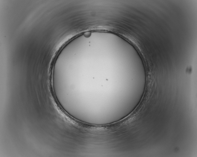 X0000114401135200911061532