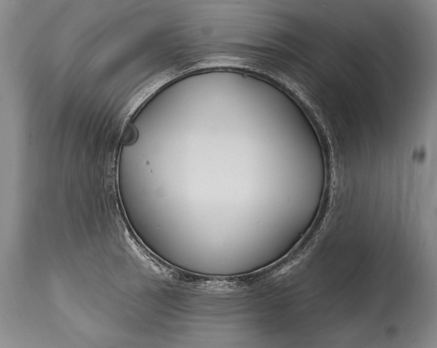 X0000114401137200911061532