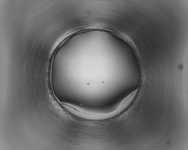 X0000114401138200911061532