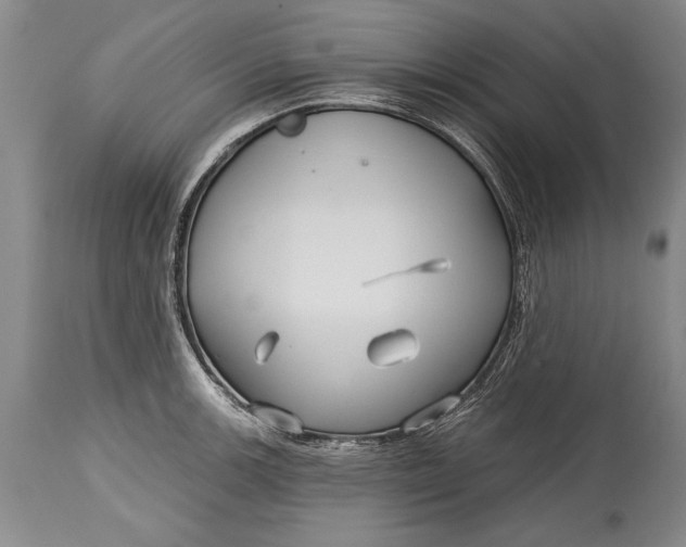 X0000114401139200911061532