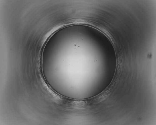 X0000114401142200911061532