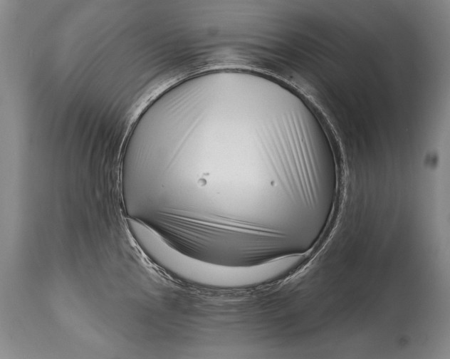 X0000114401145200911061532