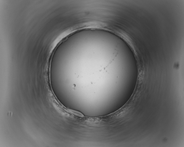 X0000114401146200911061532