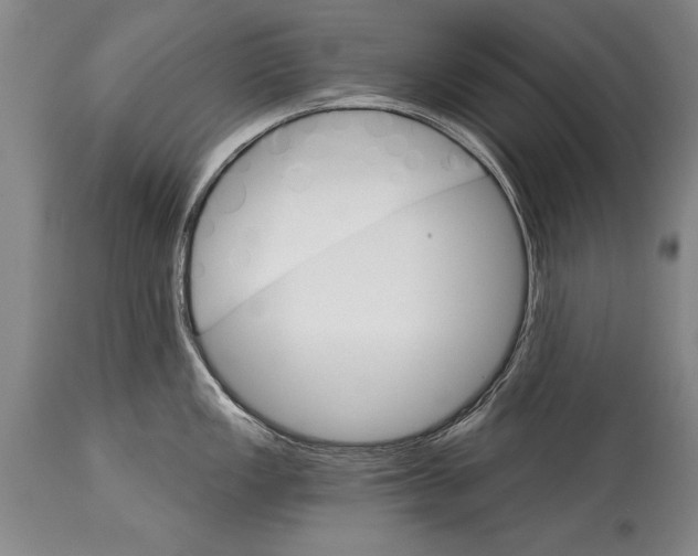 X0000114401149200911061532