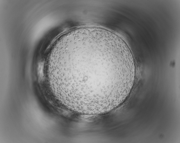 X0000114401150200911061532