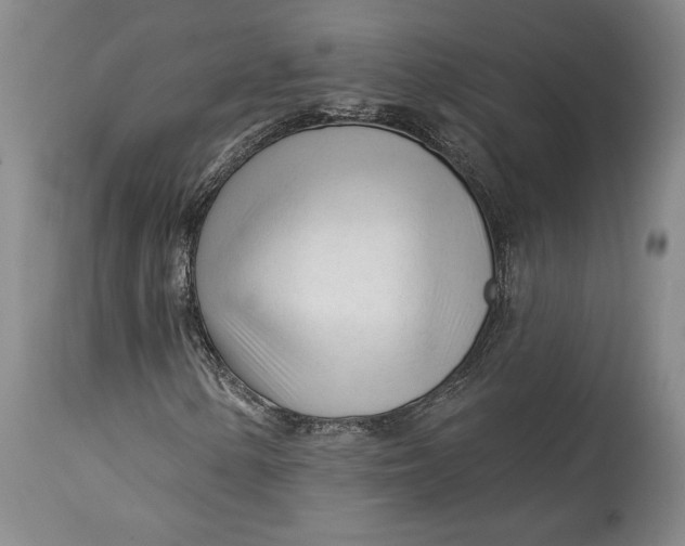 X0000114401154200911061531