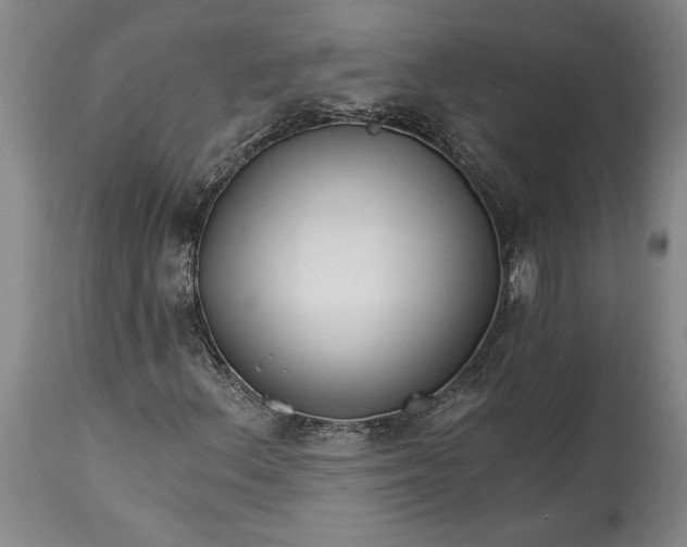 X0000114401156200911061531