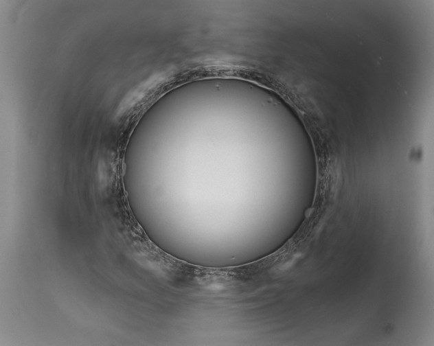 X0000114401157200911061531