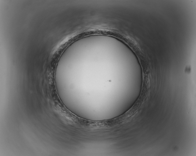 X0000114401159200911061531